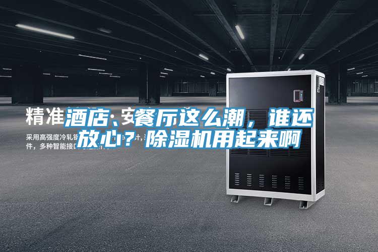 酒店、餐廳這么潮，誰(shuí)還放心？除濕機(jī)用起來(lái)啊