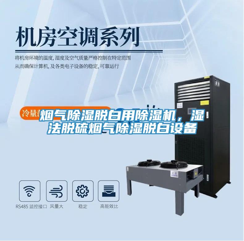 煙氣除濕脫白用除濕機(jī)，濕法脫硫煙氣除濕脫白設(shè)備