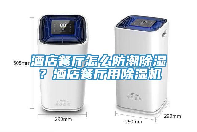 酒店餐廳怎么防潮除濕？酒店餐廳用除濕機(jī)