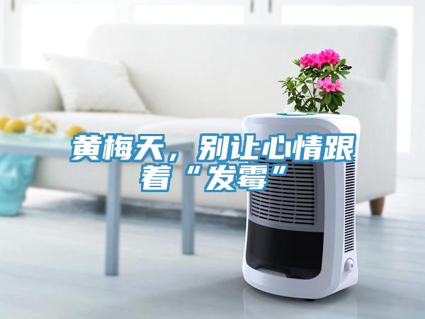 黃梅天，別讓心情跟著“發(fā)霉”