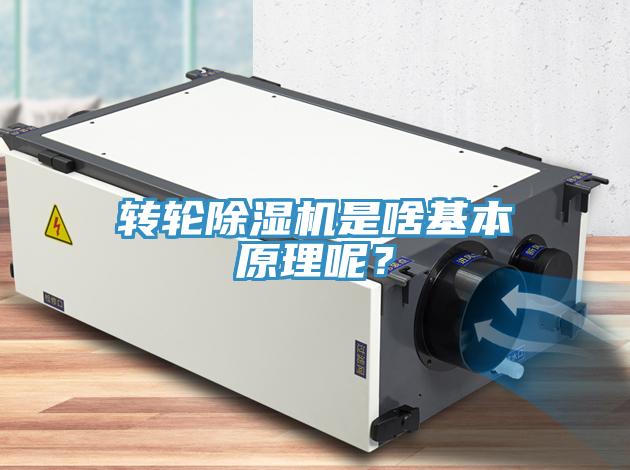 轉(zhuǎn)輪除濕機是啥基本原理呢？