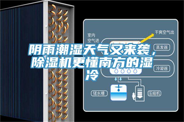 陰雨潮濕天氣又來襲，除濕機(jī)更懂南方的濕冷