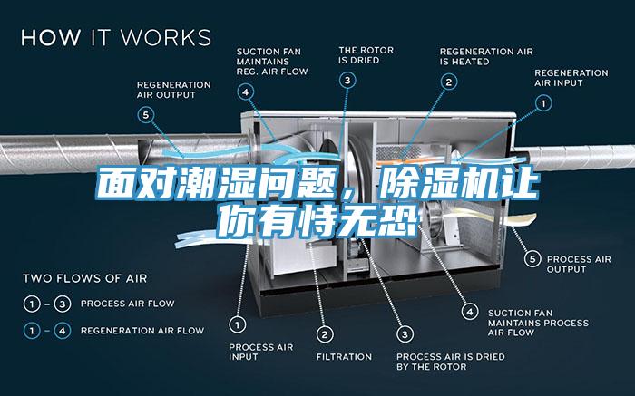 面對潮濕問題，除濕機讓你有恃無恐