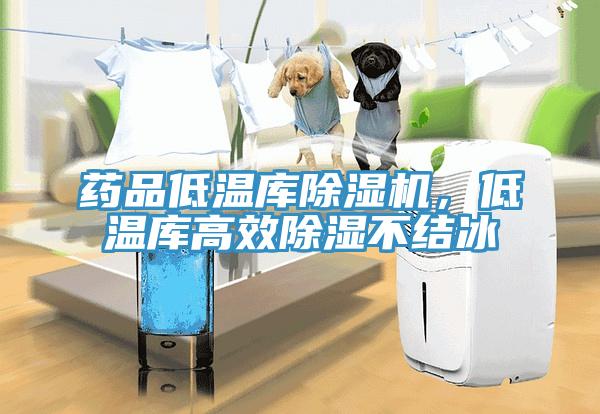 藥品低溫庫除濕機(jī)，低溫庫高效除濕不結(jié)冰
