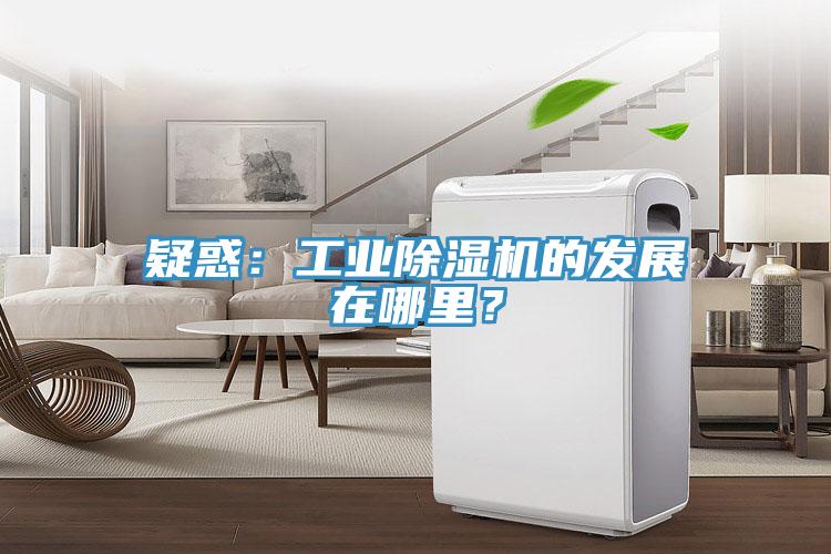 疑惑：工業(yè)除濕機的發(fā)展在哪里？