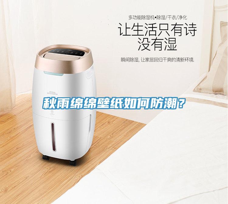 秋雨綿綿壁紙如何防潮？