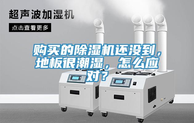 購買的除濕機(jī)還沒到，地板很潮濕，怎么應(yīng)對？