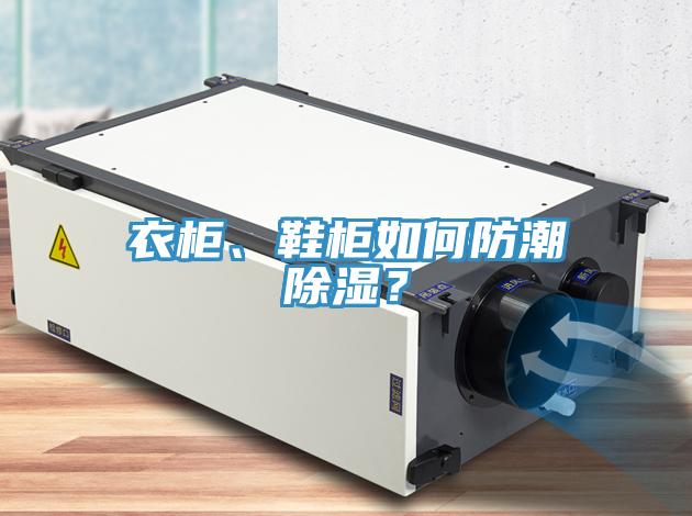 衣柜、鞋柜如何防潮除濕？
