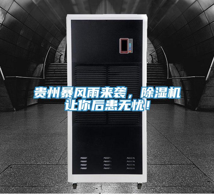 貴州暴風雨來襲，除濕機讓你后患無憂！