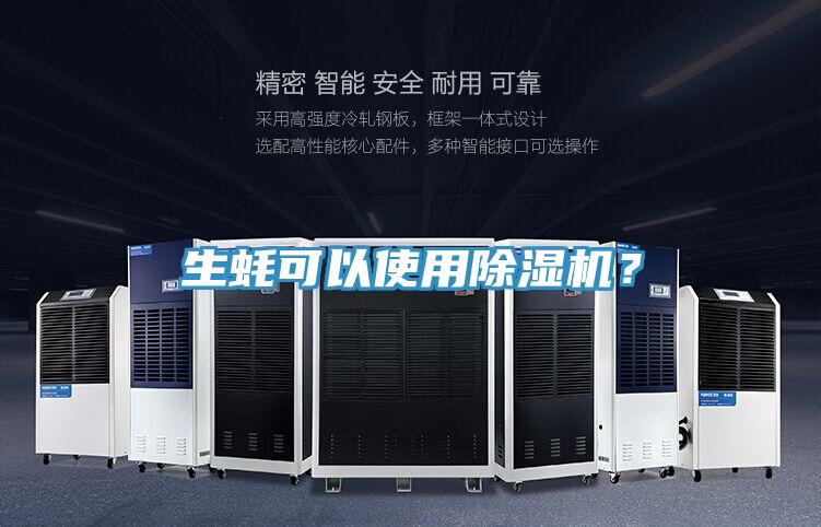 生蠔可以使用除濕機？