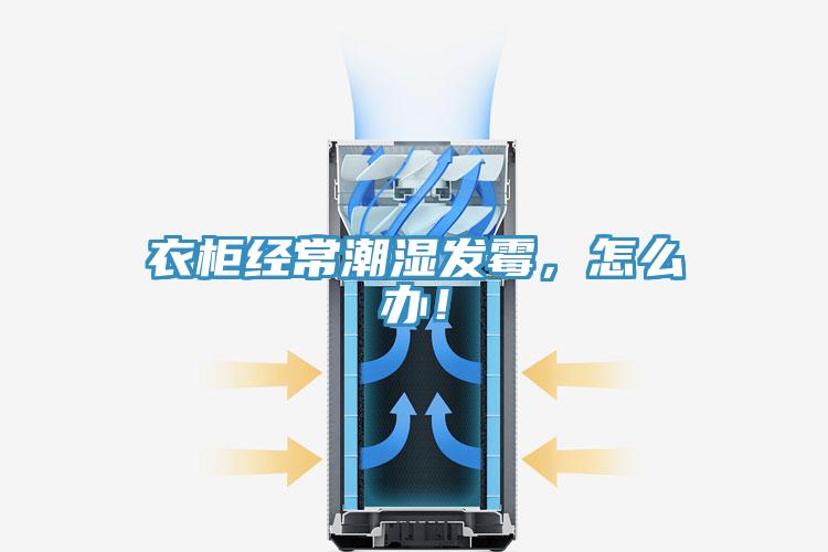 衣柜經(jīng)常潮濕發(fā)霉，怎么辦！