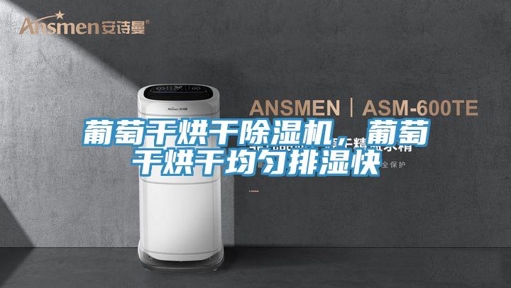葡萄干烘干除濕機(jī)，葡萄干烘干均勻排濕快