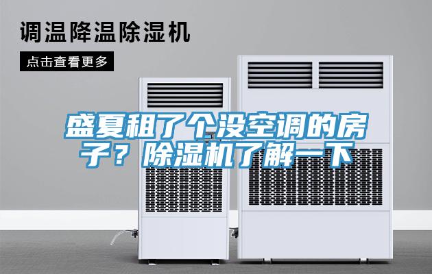 盛夏租了個沒空調(diào)的房子？除濕機了解一下