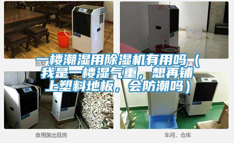 一樓潮濕用除濕機(jī)有用嗎（我是一樓濕氣重，想再鋪上塑料地板，會(huì)防潮嗎）