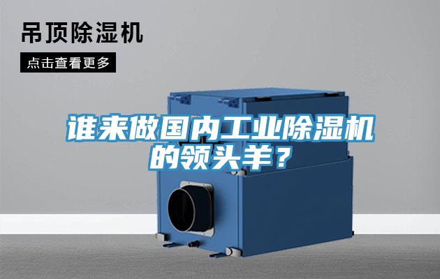 誰來做國內(nèi)工業(yè)除濕機的領(lǐng)頭羊？