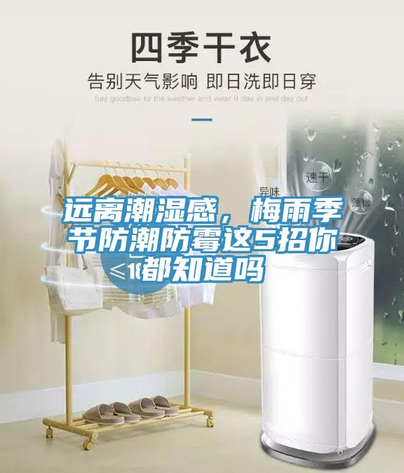 遠離潮濕感，梅雨季節(jié)防潮防霉這5招你都知道嗎