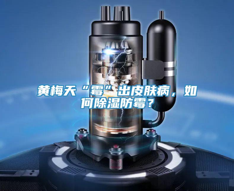 黃梅天“霉”出皮膚病，如何除濕防霉？