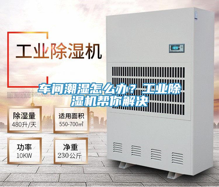 車間潮濕怎么辦？工業(yè)除濕機(jī)幫你解決