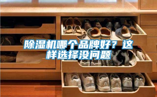 除濕機哪個品牌好？這樣選擇沒問題