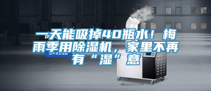 一天能吸掉40瓶水！梅雨季用除濕機(jī)，家里不再有“濕”意