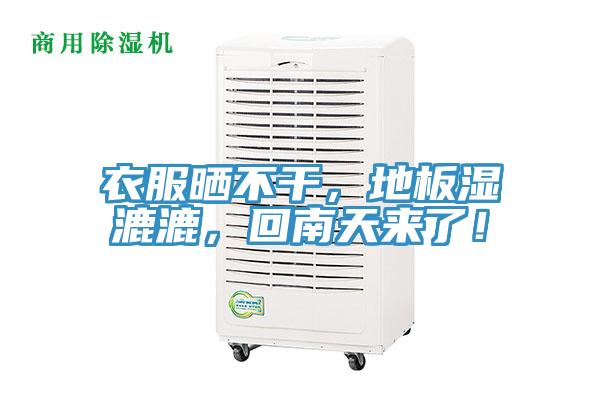 衣服曬不干，地板濕漉漉，回南天來了！