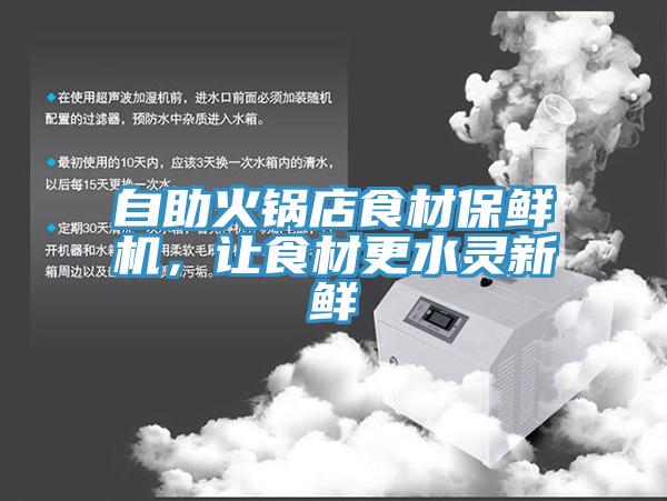 自助火鍋店食材保鮮機，讓食材更水靈新鮮