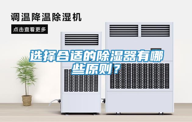 選擇合適的除濕器有哪些原則？