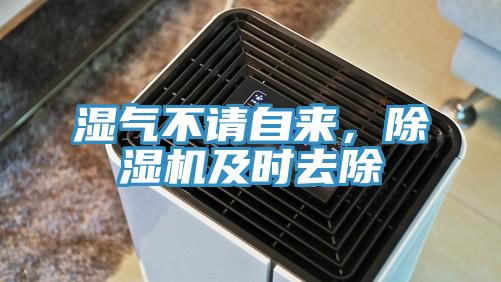 濕氣不請自來，除濕機及時去除