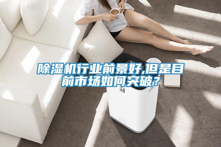 除濕機行業(yè)前景好,但是目前市場如何突破？