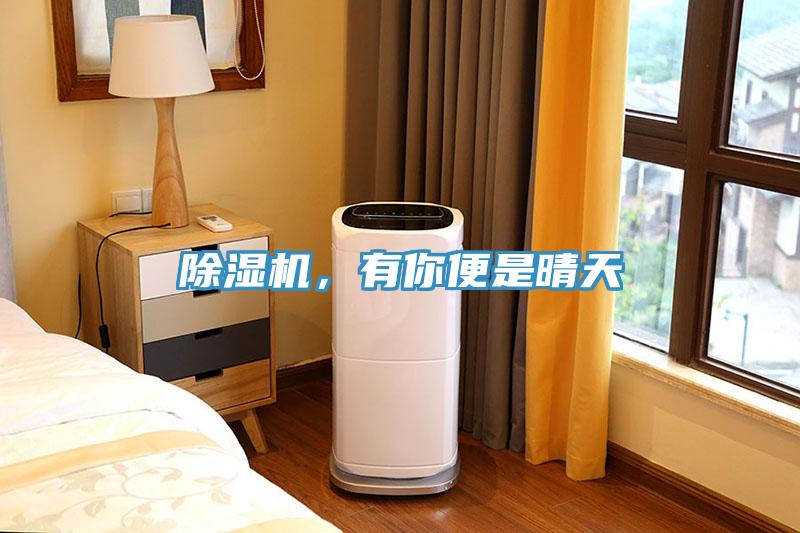 除濕機，有你便是晴天