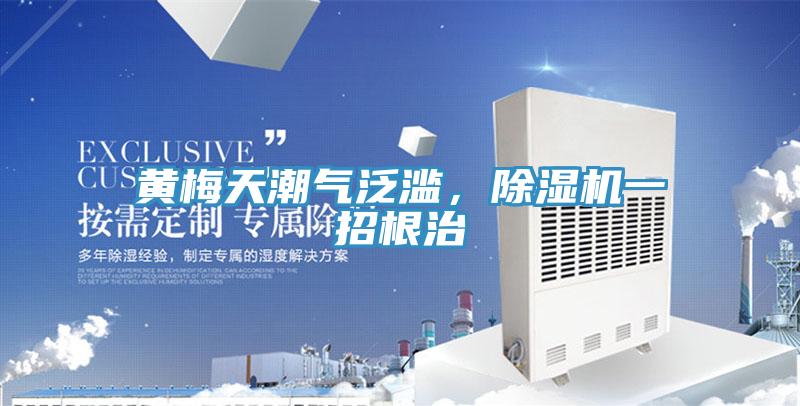 黃梅天潮氣泛濫，除濕機(jī)一招根治