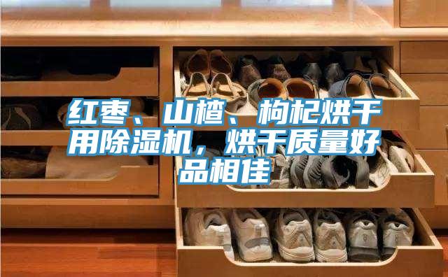 紅棗、山楂、枸杞烘干用除濕機(jī)，烘干質(zhì)量好品相佳