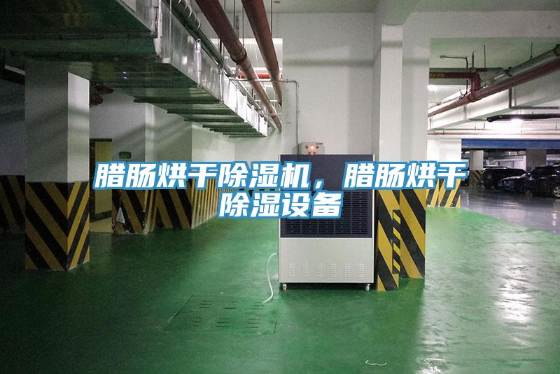 臘腸烘干除濕機，臘腸烘干除濕設(shè)備