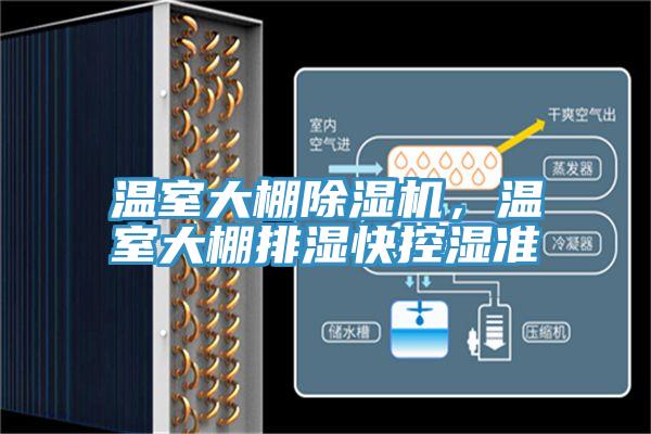 溫室大棚除濕機(jī)，溫室大棚排濕快控濕準(zhǔn)