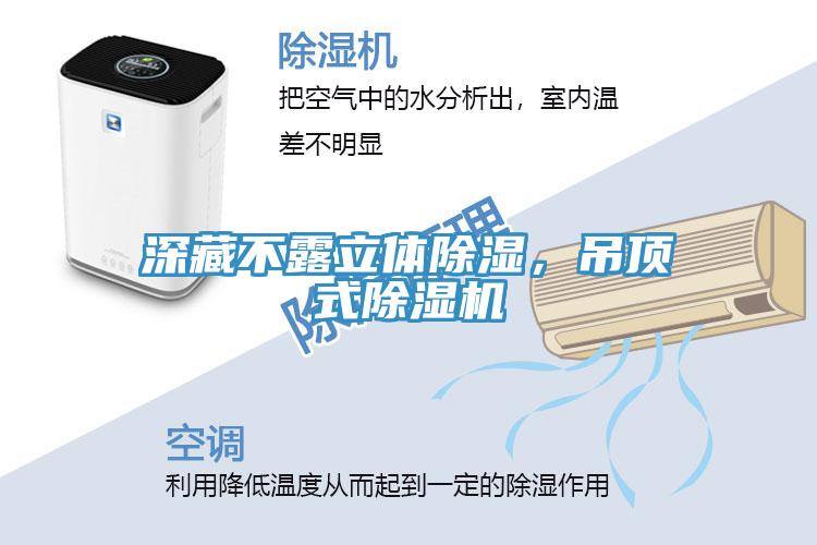 深藏不露立體除濕，吊頂式除濕機