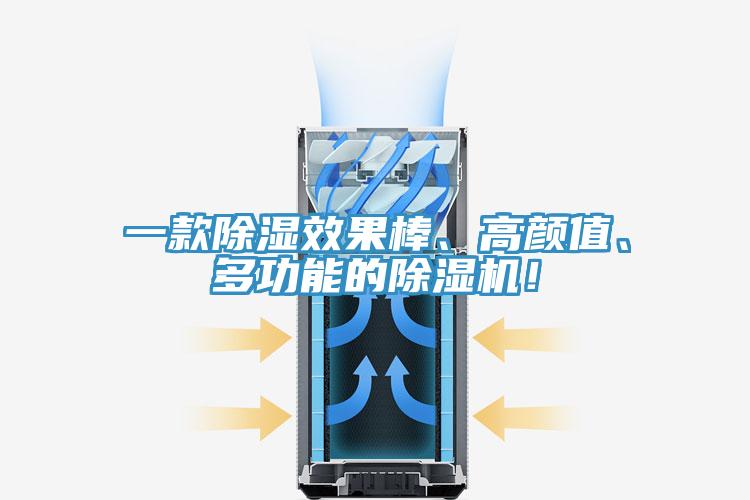 一款除濕效果棒、高顏值、多功能的除濕機(jī)！