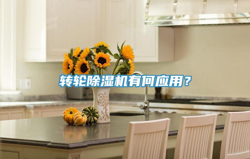 轉(zhuǎn)輪除濕機有何應用？