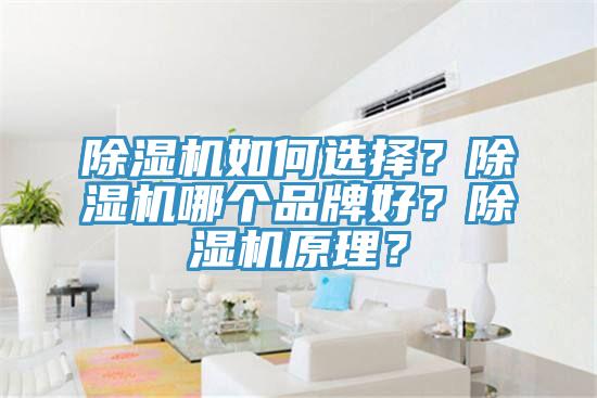 除濕機(jī)如何選擇？除濕機(jī)哪個(gè)品牌好？除濕機(jī)原理？