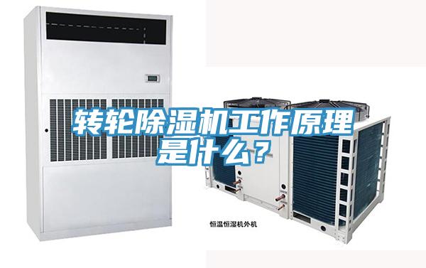 轉(zhuǎn)輪除濕機工作原理是什么？