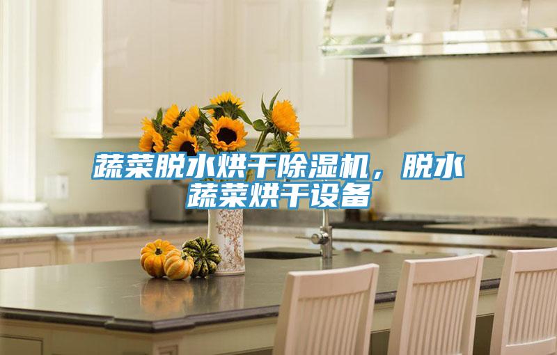 蔬菜脫水烘干除濕機(jī)，脫水蔬菜烘干設(shè)備