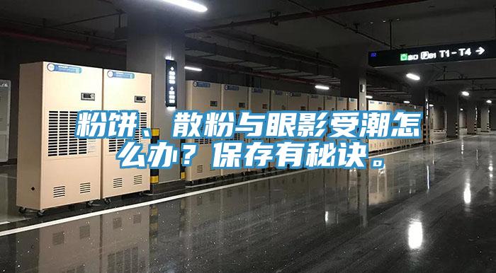 粉餅、散粉與眼影受潮怎么辦？保存有秘訣。