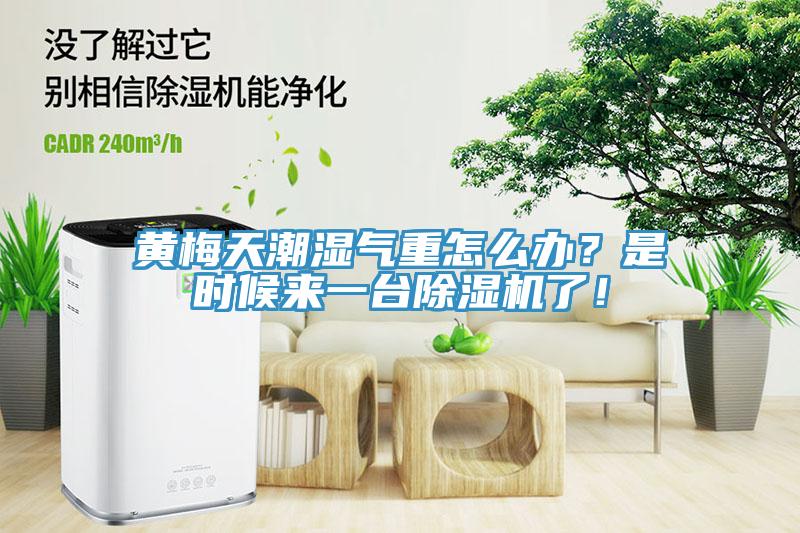 黃梅天潮濕氣重怎么辦？是時(shí)候來(lái)一臺(tái)除濕機(jī)了！