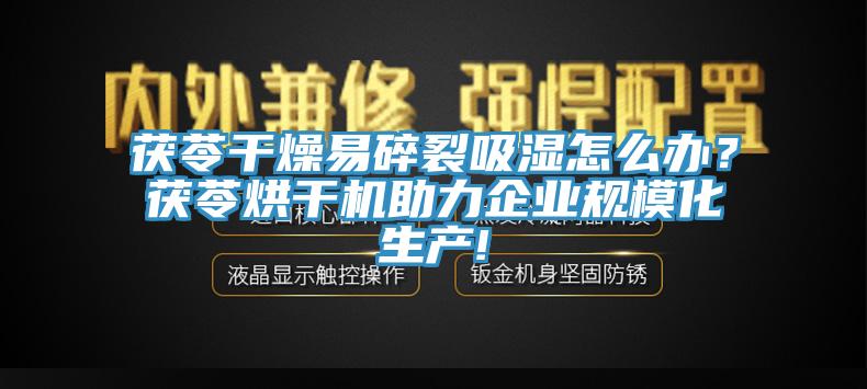 茯苓干燥易碎裂吸濕怎么辦？茯苓烘干機(jī)助力企業(yè)規(guī)模化生產(chǎn)!