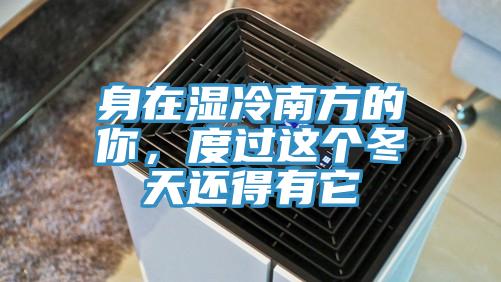 身在濕冷南方的你，度過這個冬天還得有它