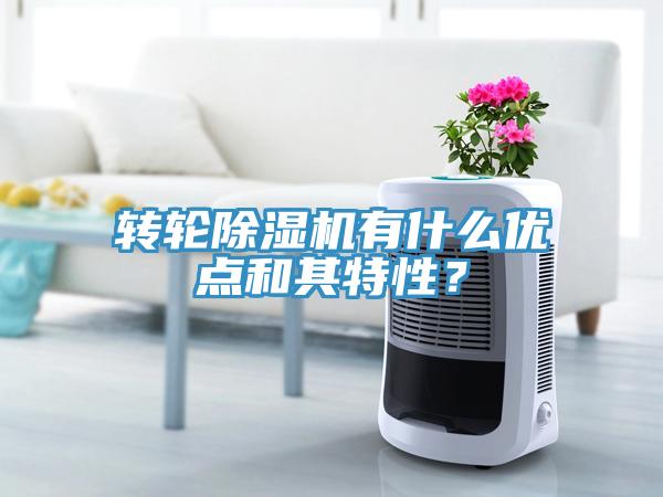 轉(zhuǎn)輪除濕機有什么優(yōu)點和其特性？