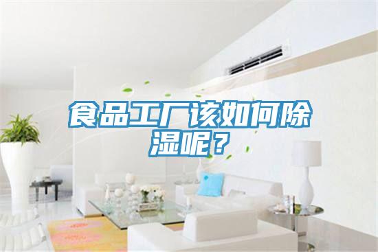 食品工廠該如何除濕呢？