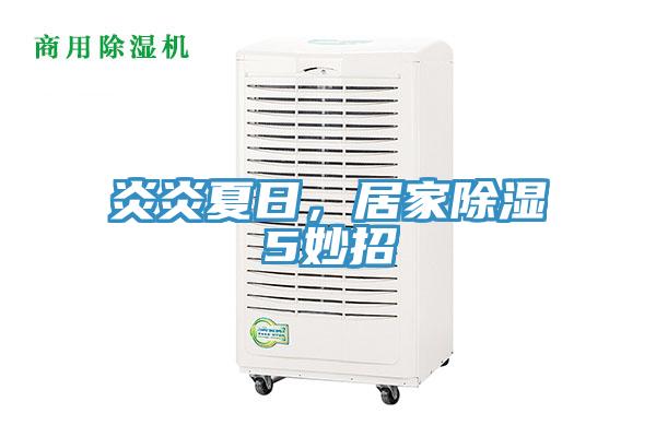 炎炎夏日，居家除濕5妙招