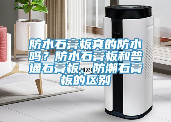 防水石膏板真的防水嗎？防水石膏板和普通石膏板、防潮石膏板的區(qū)別