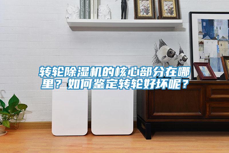 轉(zhuǎn)輪除濕機(jī)的核心部分在哪里？如何鑒定轉(zhuǎn)輪好壞呢？
