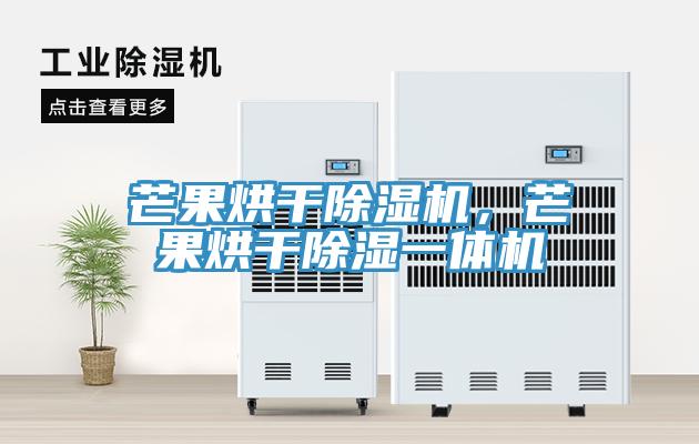 芒果烘干除濕機，芒果烘干除濕一體機